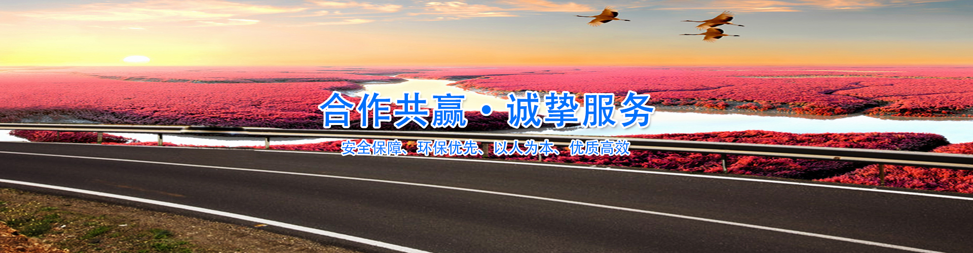 TIKTOK城人版下载